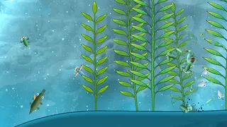 Morphsea: Abyssal Evolution