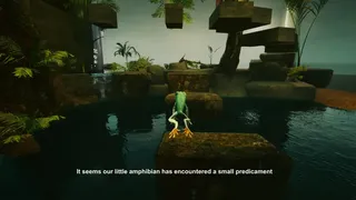 Planet Frog