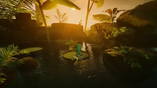 Planet Frog