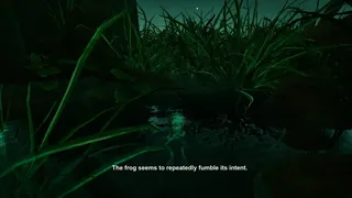 Planet Frog
