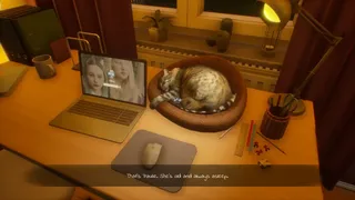 Dear Diary