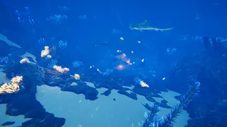 Скриншот 5 к игре Ocean Fish
