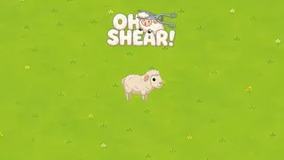 Oh Shear!