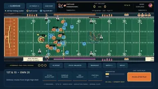 Pocket Dynasty