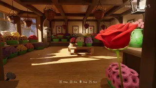 Where Flowers Gather