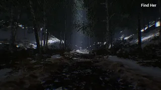 Winter’s Embrace
