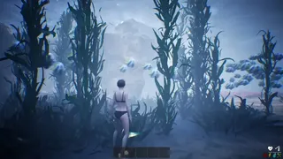 盗墓者手记 The Tomb Raider’s Journal
