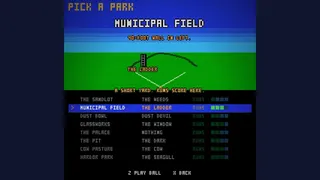 Bush League Baseball