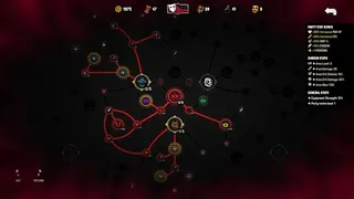 Guilded Fools