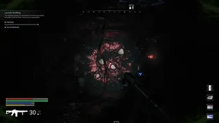 Echoes of the Lost