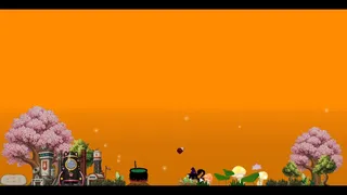 貓貓盒CATBOX