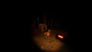 Strange Absurdity: DOG STAR