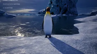 Life of a Penguin