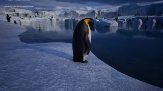 Скриншот 6 к игре Life of a Penguin