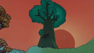Wild Symbiosis