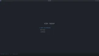 Скриншот 1 к игре vim racer