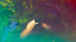 Скриншот 2 к игре ADRIFT
