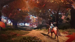 Скриншот 13 к игре Black Desert