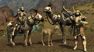 Скриншот 5 к игре The Lord Of The Rings Online