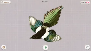 Скриншот 2 к игре Birds Huddled Together
