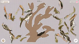 Скриншот 7 к игре Birds Huddled Together