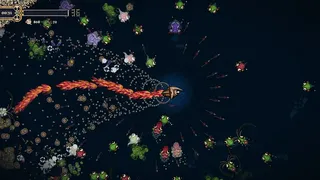Скриншот 8 к игре Pirate Survivors