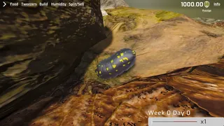 Скриншот 1 к игре Isopod Keeping Simulator
