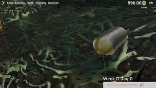 Скриншот 6 к игре Isopod Keeping Simulator