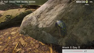 Скриншот 8 к игре Isopod Keeping Simulator