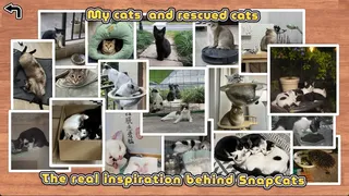 Скриншот 3 к игре SnapCats