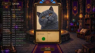 Скриншот 1 к игре 传奇金卡