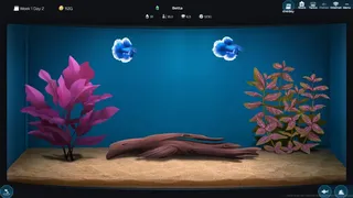 Скриншот 3 к игре The Fish Corner