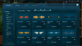 Скриншот 6 к игре The Fish Corner