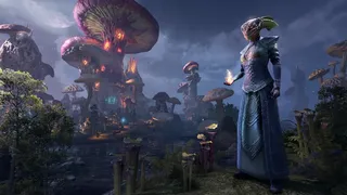 Скриншот 13 к игре The Elder Scrolls Online
