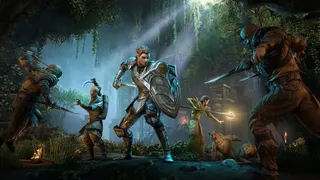 Скриншот 14 к игре The Elder Scrolls Online