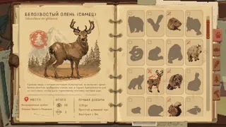 Скриншот 6 к игре Wild n Chill