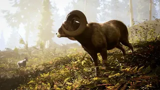 Скриншот 3 к игре Hunting Simulator 3