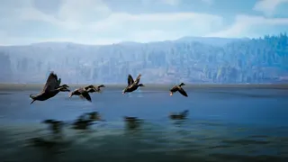 Скриншот 5 к игре Hunting Simulator 3