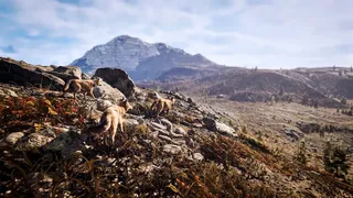 Скриншот 8 к игре Hunting Simulator 3