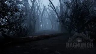Скриншот 5 к игре Bagnomor