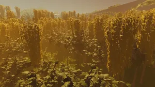 Скриншот 1 к игре Walking With The Wild
