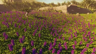 Скриншот 5 к игре Walking With The Wild