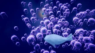 Скриншот 3 к игре Seal Way