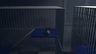 Скриншот 5 к игре Guinea Pig