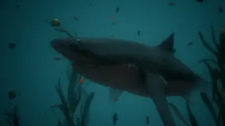 Скриншот 7 к игре Aquavern