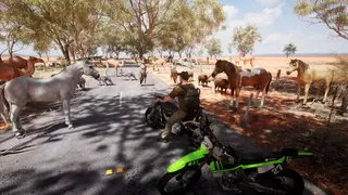 Скриншот 8 к игре Australian Hunter