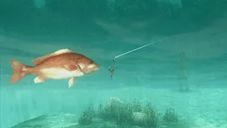 Скриншот 1 к игре About Fishing