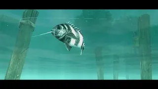 Скриншот 6 к игре About Fishing