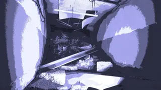 Скриншот 3 к игре Shell Inside