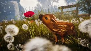 Скриншот 1 к игре Adorable Adventures
